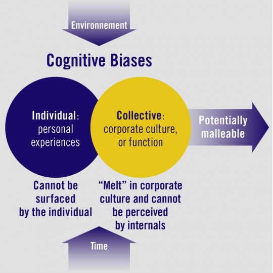Environmental-Cognitive-BIases